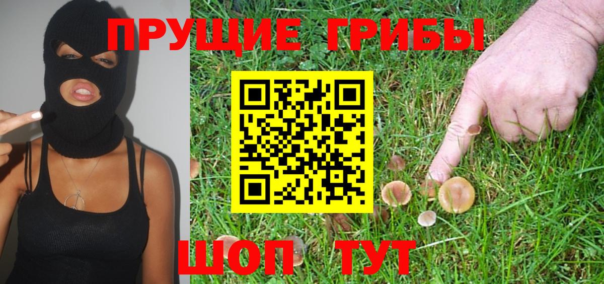 Псилоцибиновые грибы ЛСД Губкин