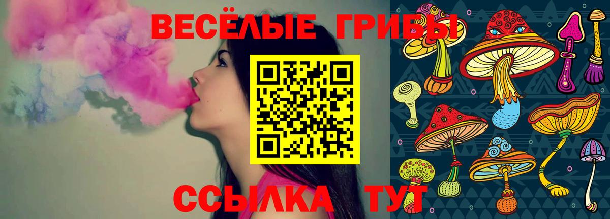 Губкин  Галлюциногенные грибы мицелий  Псилоцибиновые грибы мицелий  Вход с VPN 
