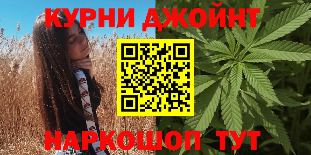 Марихуана планчик  Конопля планчик  Губкин  Вход с VPN  Бошки Шишки SATIVA & INDICA 